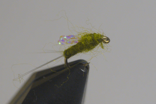 Sparkle Wing RS2