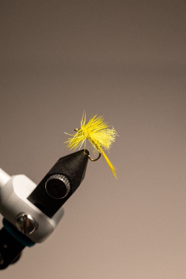 Yellow Sally