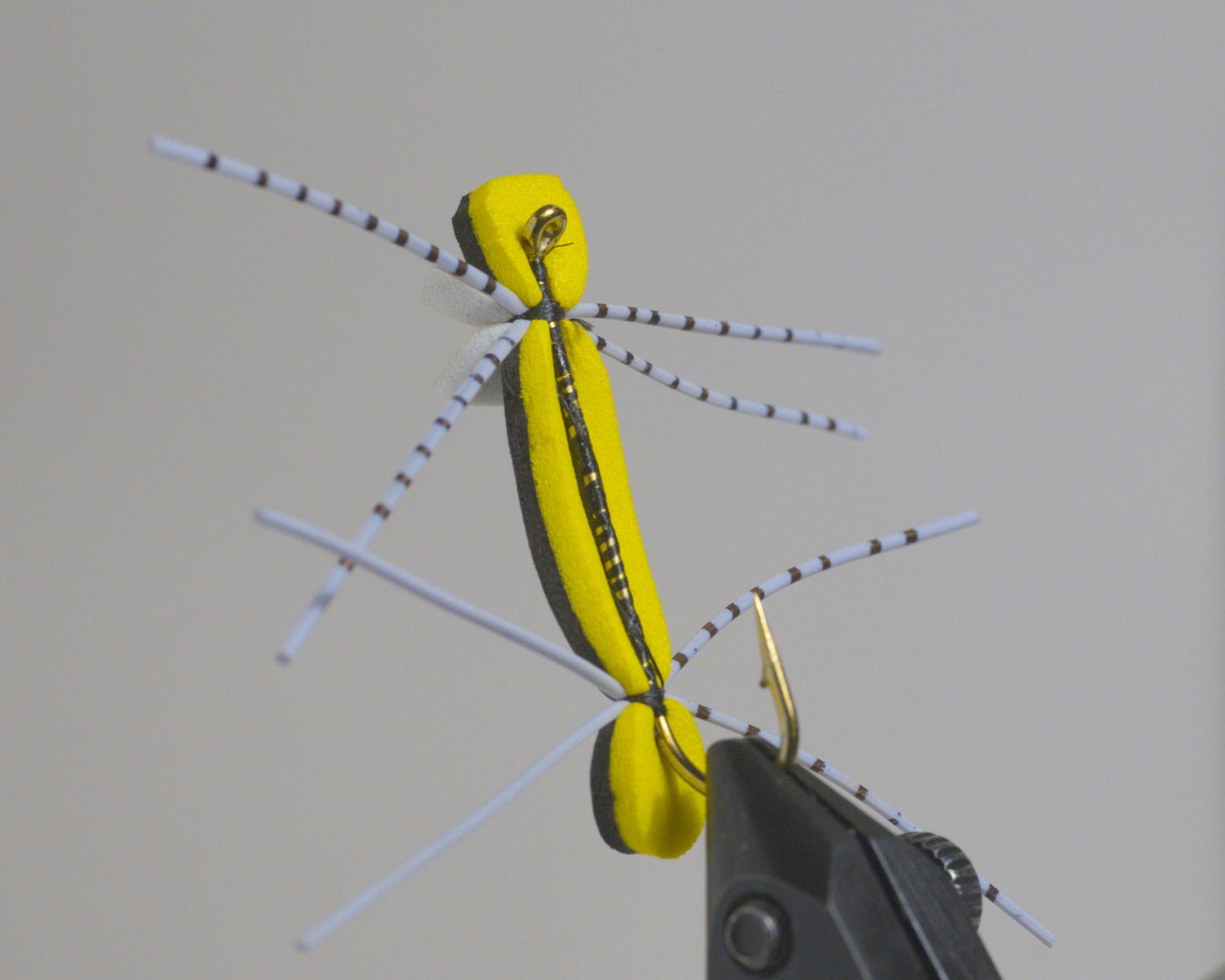 Chernobyl Ant