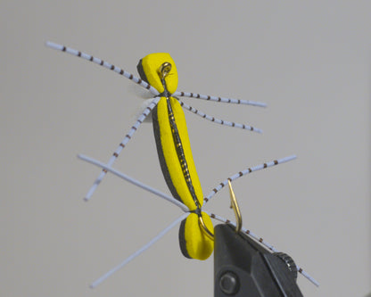Chernobyl Ant