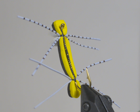 Chernobyl Ant