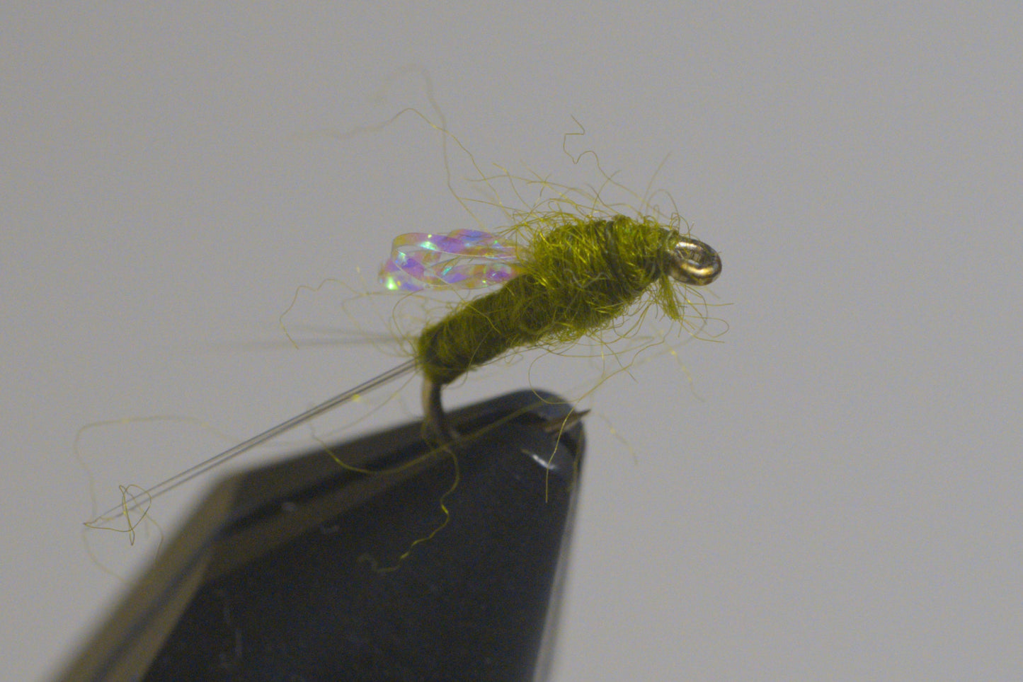 Sparkle Wing RS2