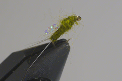 Sparkle Wing RS2