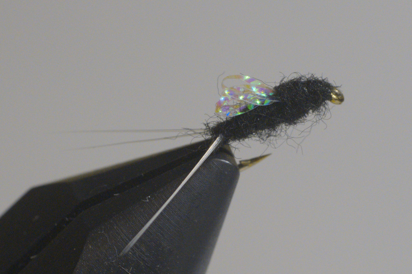 Sparkle Wing RS2
