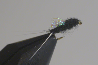 Sparkle Wing RS2