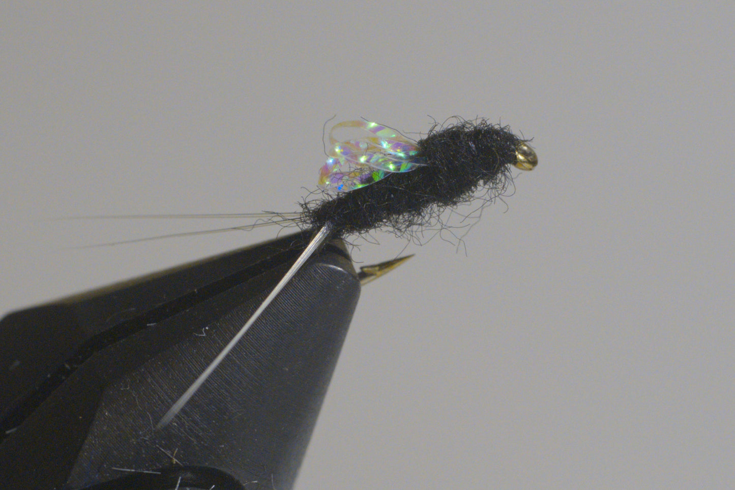 Sparkle Wing RS2