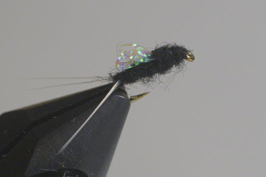 Sparkle Wing RS2