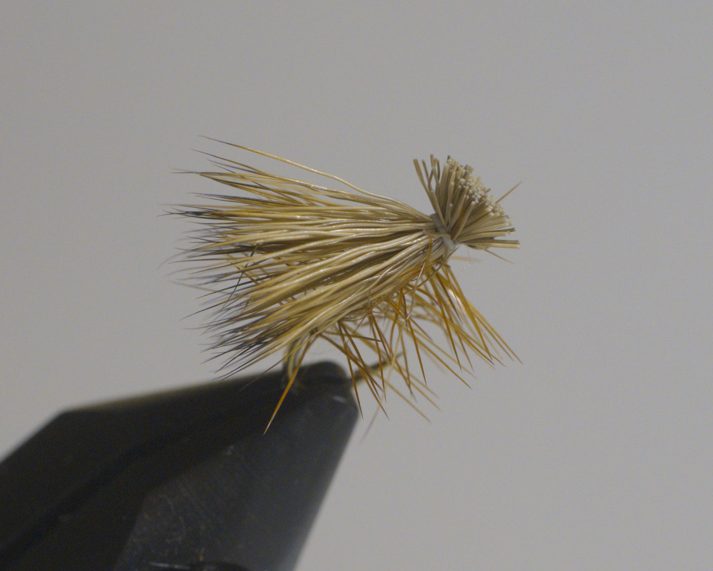 Elk Hair Caddis