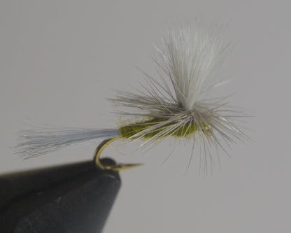 Blue Wing Olive
