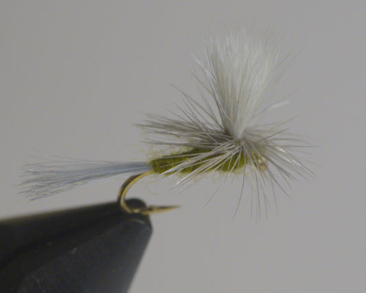 Blue Wing Olive