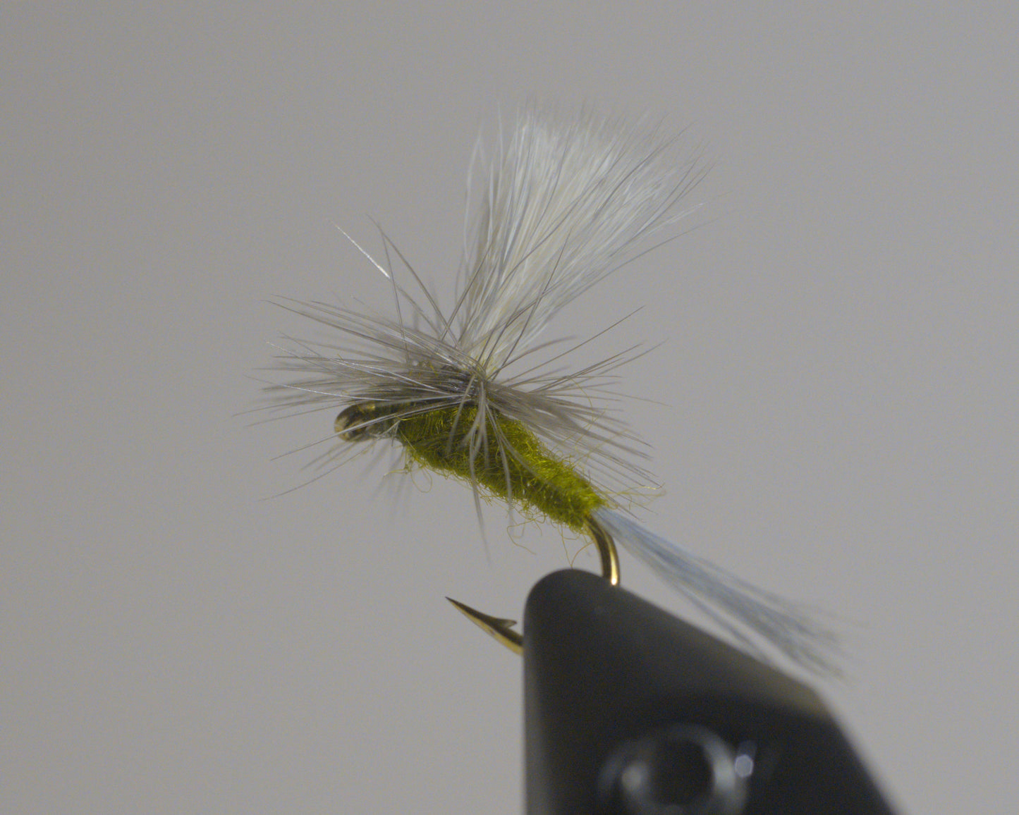 Blue Wing Olive