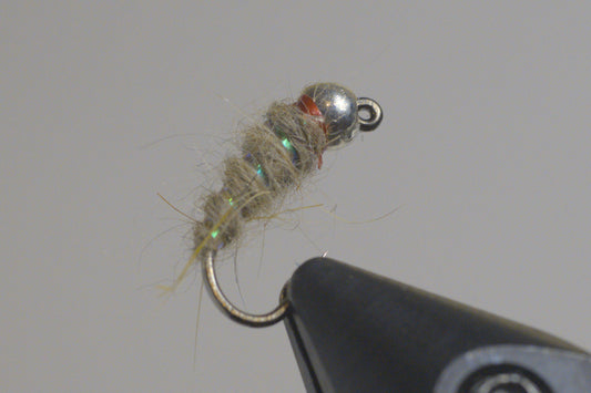 Sexy Walts Worm