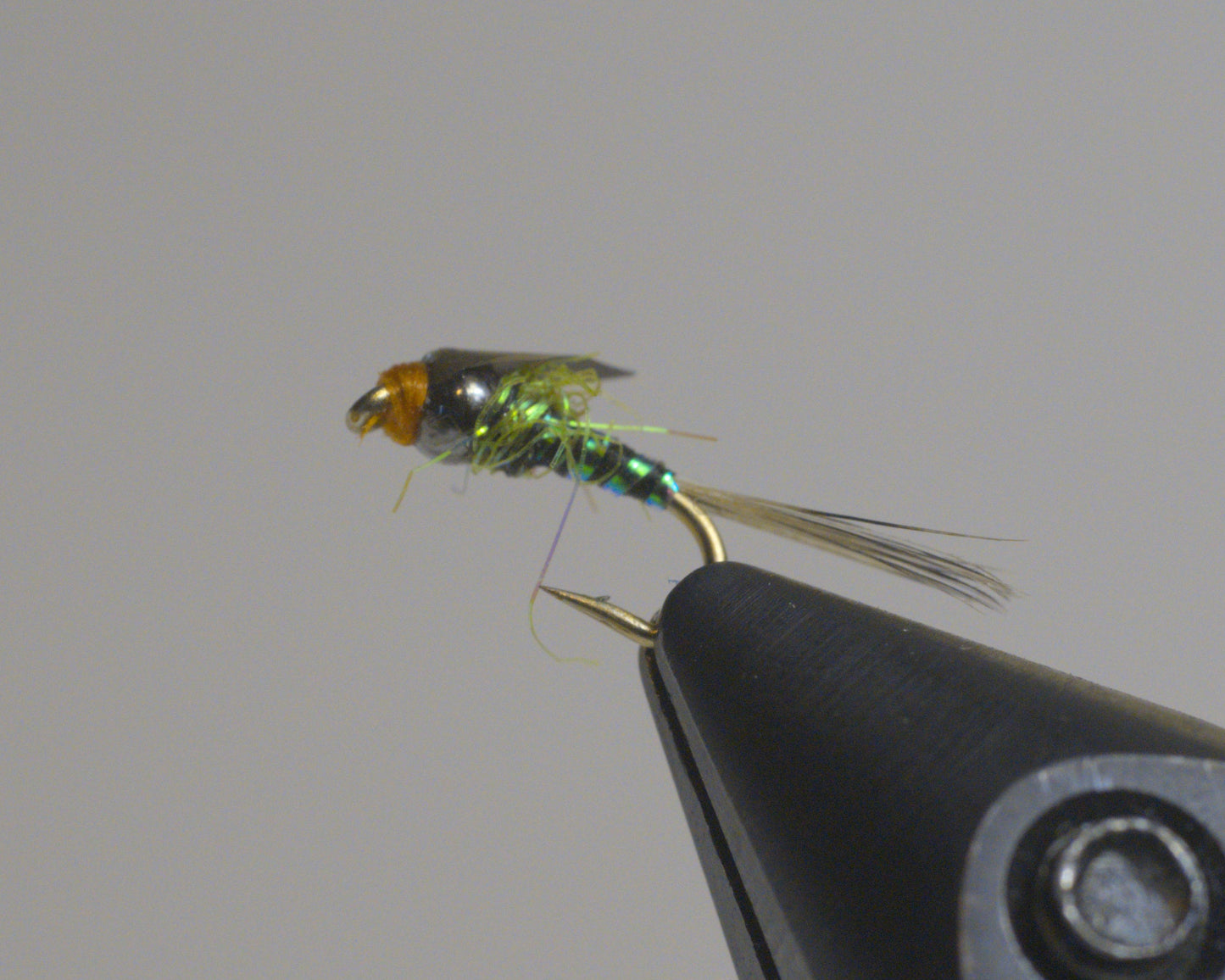 Aero Baetis