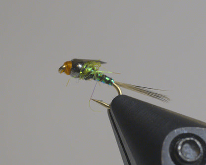 Aero Baetis