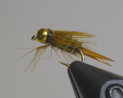 Prince Nymph - Tungsten Bead