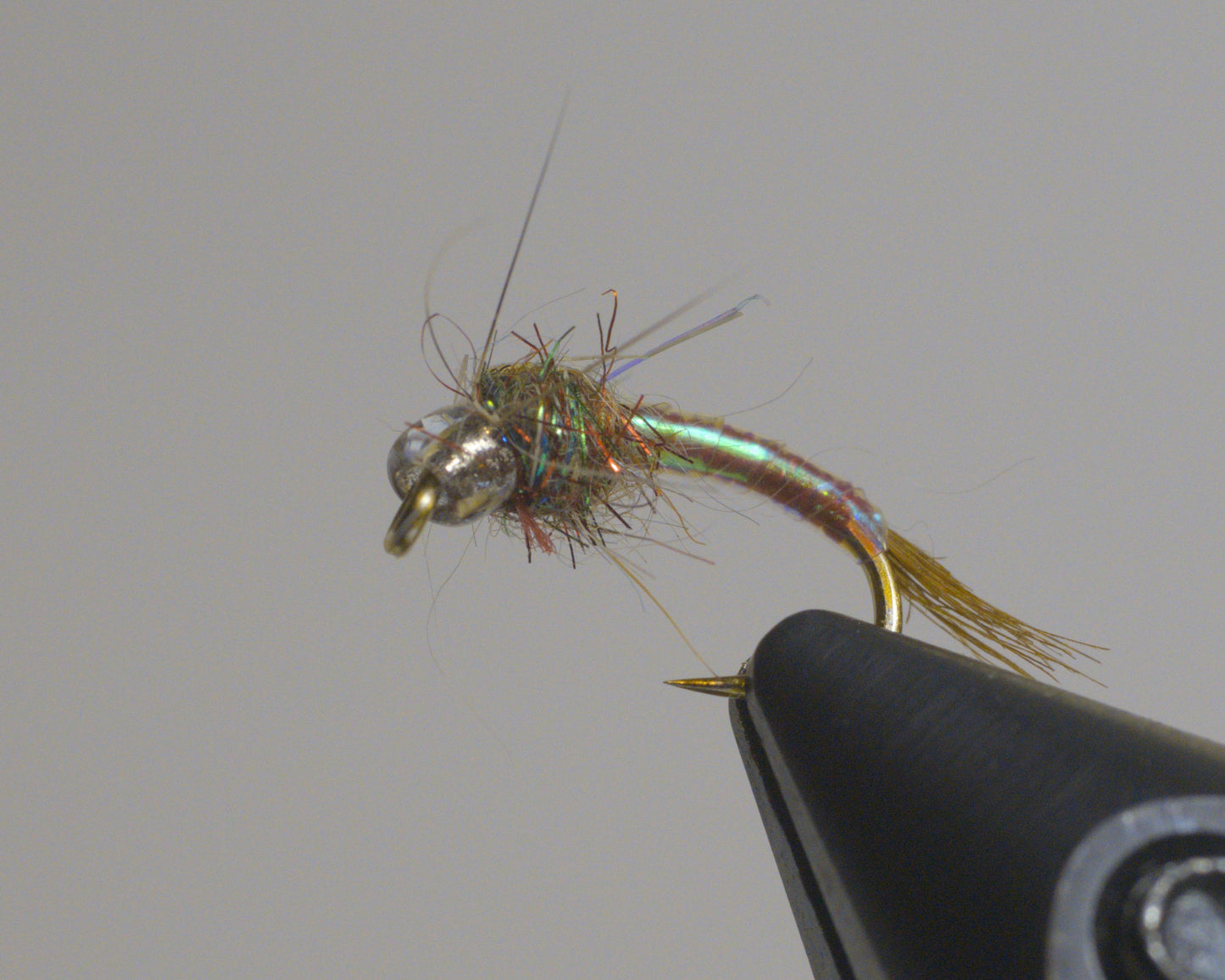 Rainbow Warrior