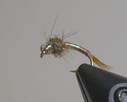 Rainbow Warrior
