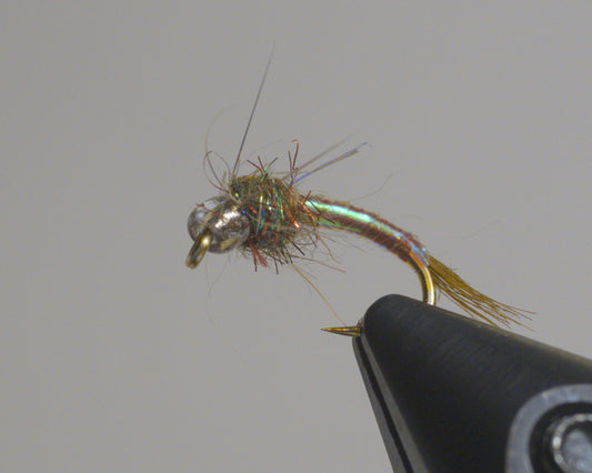Rainbow Warrior