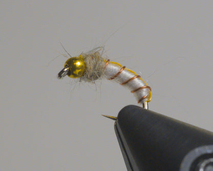 GTI Caddis