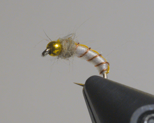 GTI Caddis
