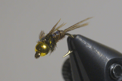 Pheasant tail