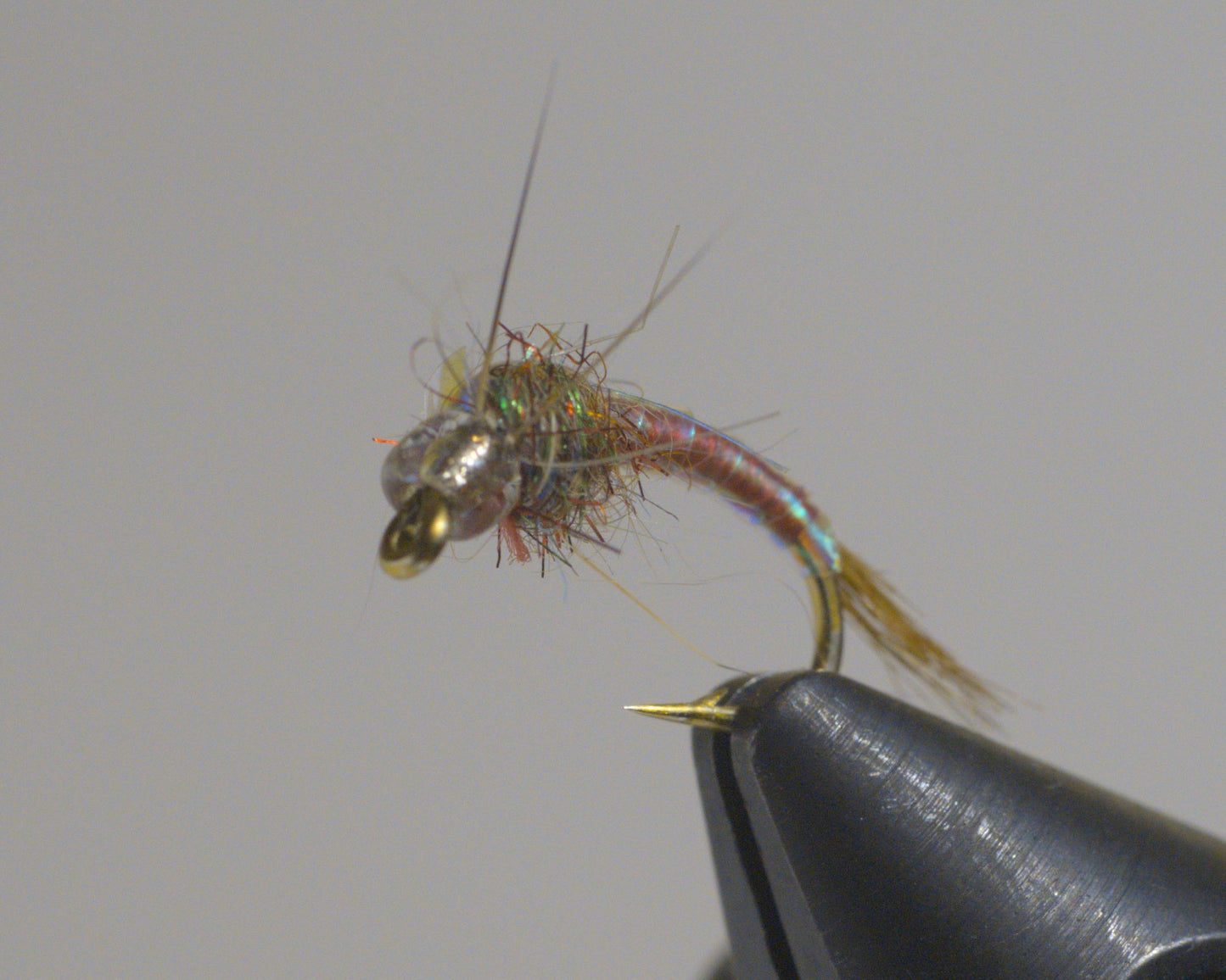 Rainbow Warrior