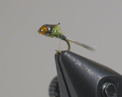 Aero Baetis