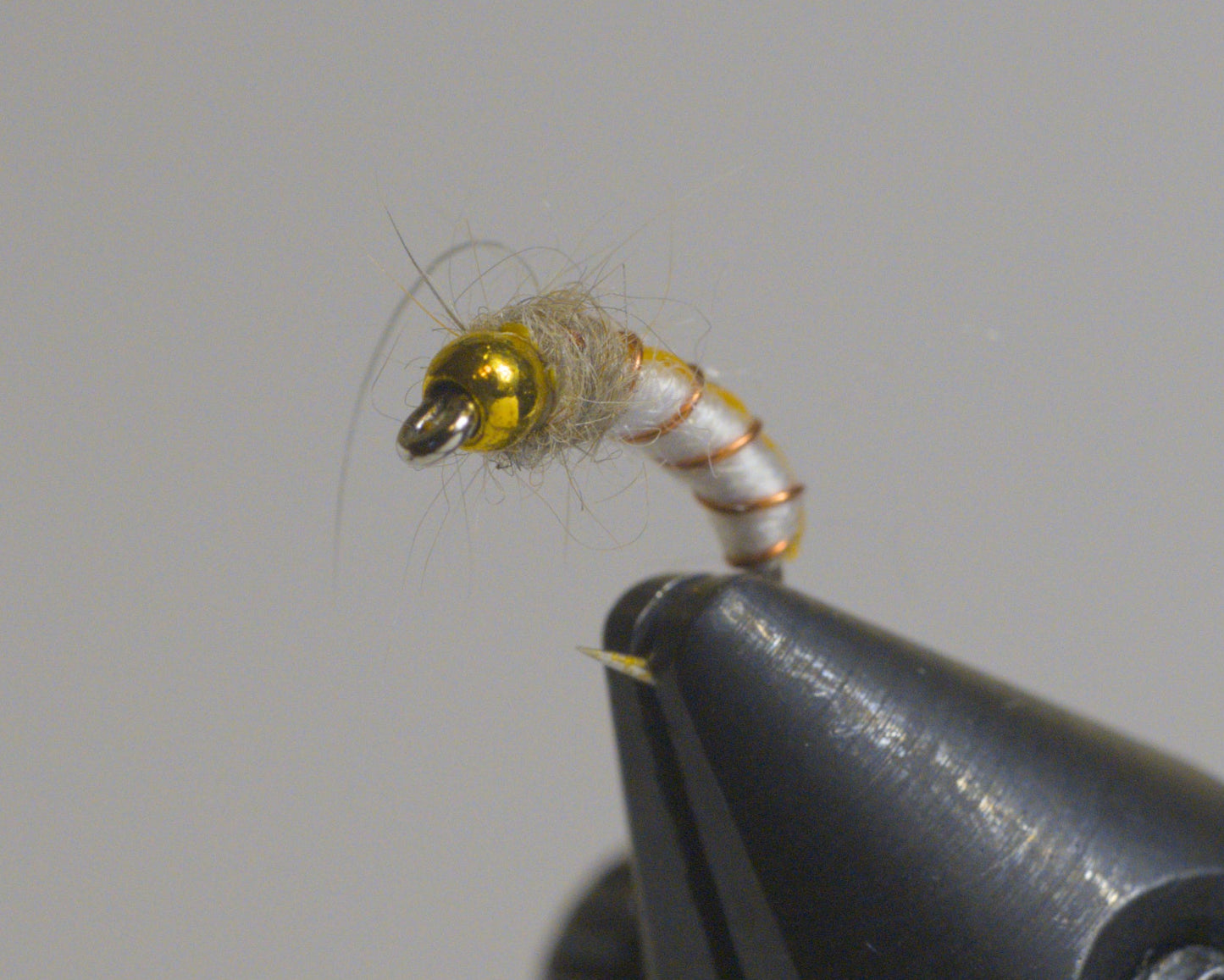 GTI Caddis
