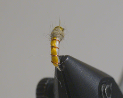 GTI Caddis