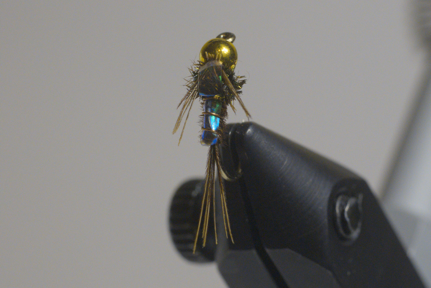 Pheasant tail