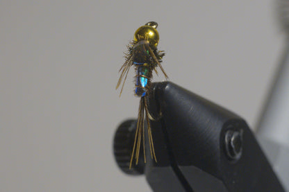 Pheasant tail