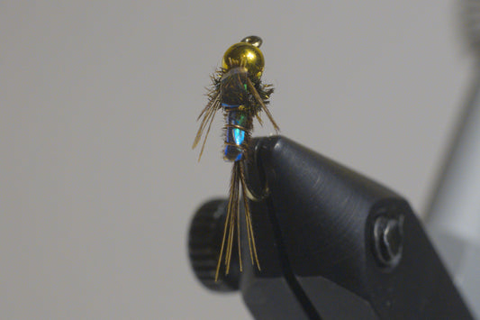Pheasant tail