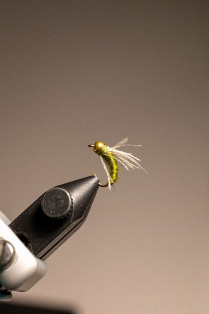 Soft Hackle Caddis Pupa