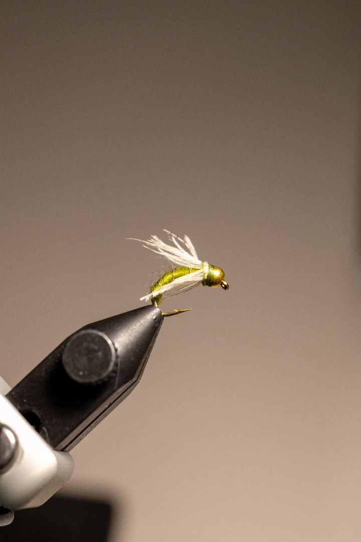Soft Hackle Caddis Pupa