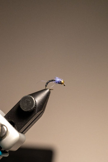 Zebra Midge