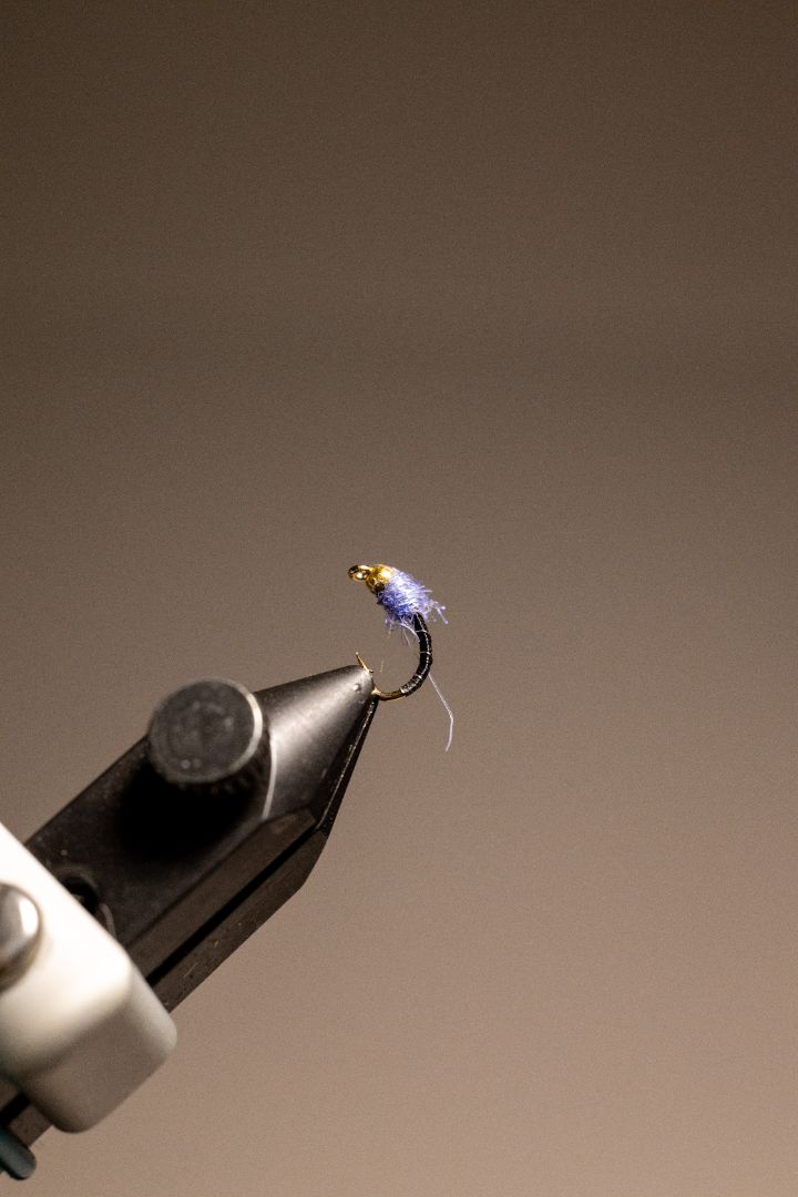 Zebra Midge