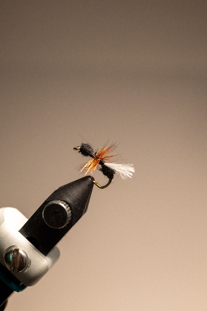Foam Flying Ant