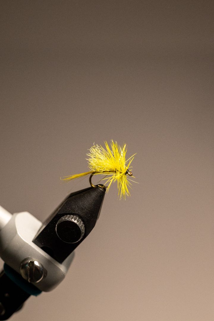 Yellow Sally
