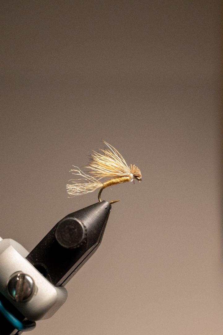 X-Caddis
