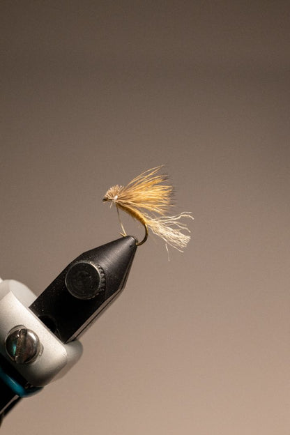 X-Caddis