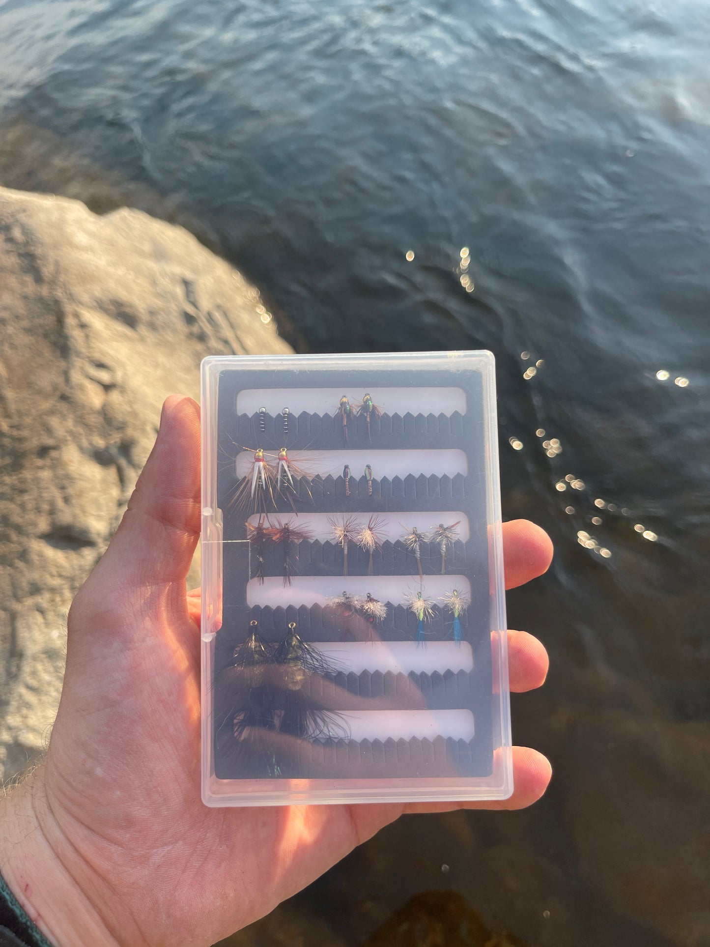 Starter trout fly set