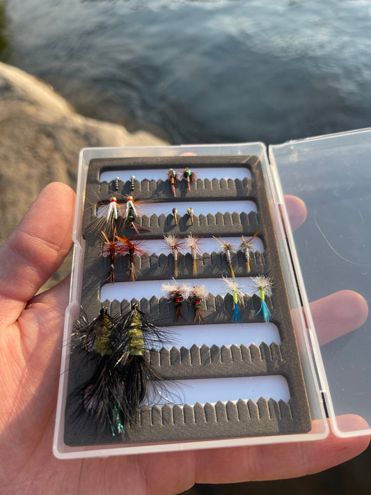 Starter trout fly set