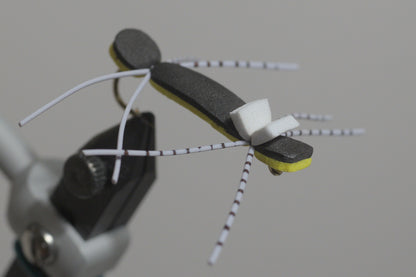 Chernobyl Ant